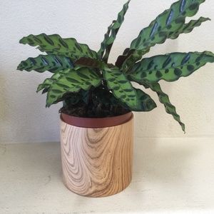 Meet your Posher, Kingston